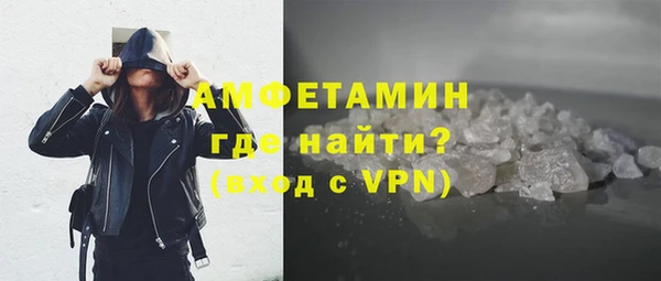 гидра Арсеньев