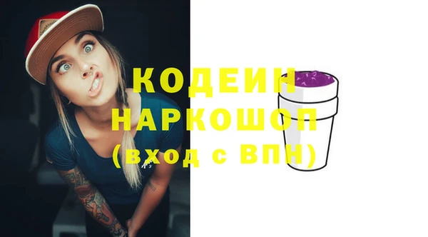 гидра Арсеньев