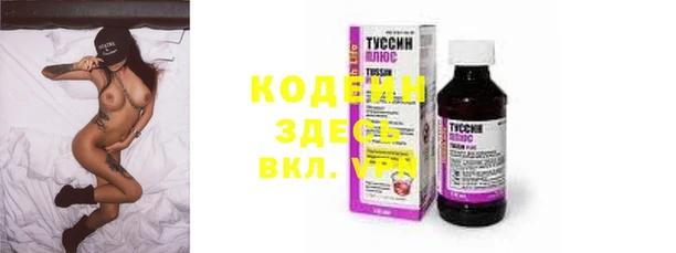 гидра Арсеньев