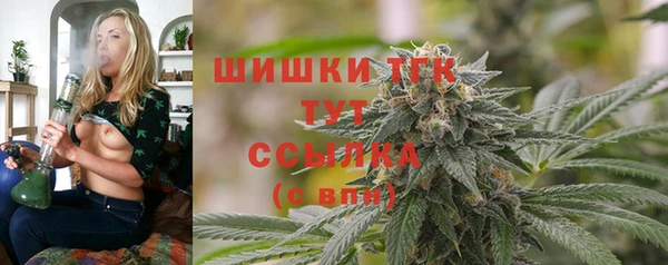 гидра Арсеньев