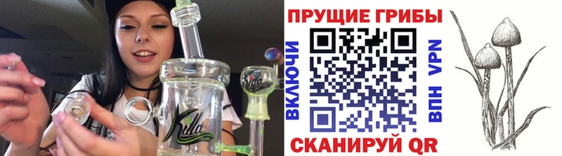 как найти наркотики  omg как зайти  Галлюциногенные грибы прущие грибы  Маркс 